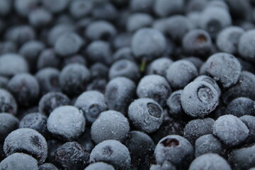 blueberries on a white plate