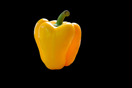 Yellow bell pepper on black background