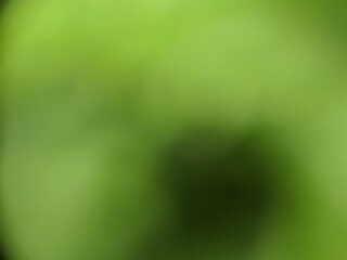 blurred background with shades of green