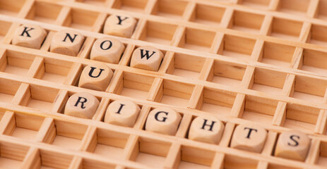 know your rights in word cloud