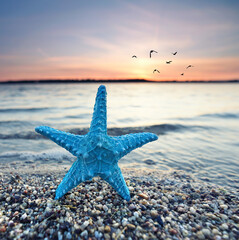 Fototapeta na wymiar romantischer Sonnenuntergang mit Seestern am Strand