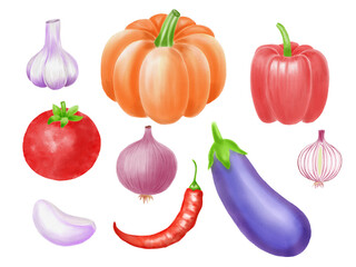 Vegetables watercolor illustration set onion, garlic, eggplant, pumpkin, pepper, tomato