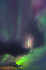Fototapeta premium Northern Lights, Southern Iceland, Iceland, Europe