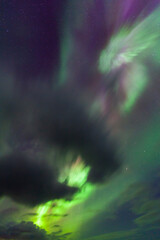 Northern Lights, Southern Iceland, Iceland, Europe