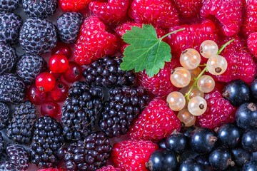 Background of different berries: raspberries, blackberries, currants. Top view