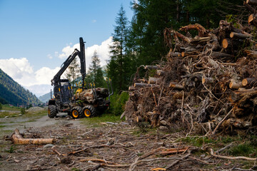 Fototapeta premium Zinal, Valais, Switzerland : Logging machinery with hydraulic arm loading cut trees for timber or firewood harvesting forest.