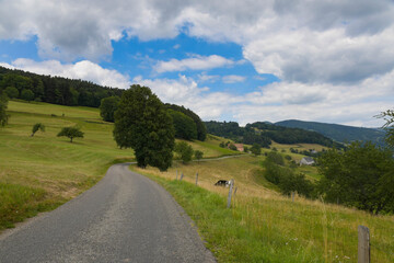 Vogesenlandschaft oberhalb von Orbey im Elsass