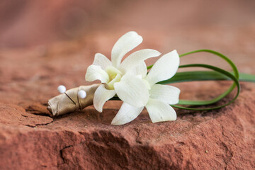 Fototapeta na wymiar mini orchid single groom boutonniere