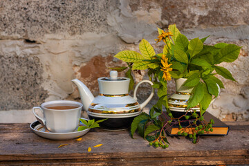 Book, autumn leaves flowers, tea cup on wooden bench with green wild grape branch. Warm herbal drink. White porcelain tea-set. Hot brewed natural beverages on fresh air. Cozy fall weekend breakfast.