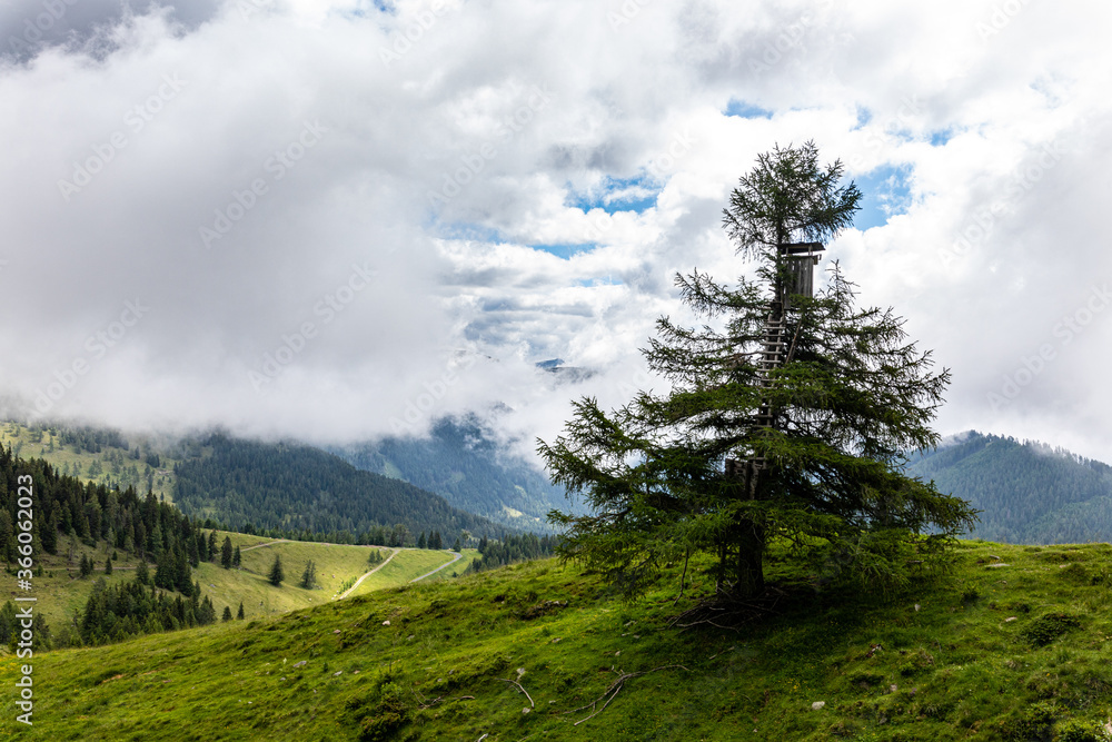 Canvas Prints Österreich