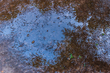 Reflection of blue sky and trees in a puddle in a forest in the evening