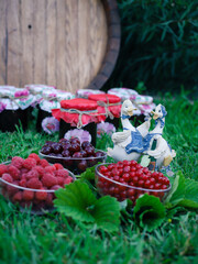 raspberry jam in the garden