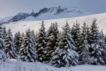 Winter landscape, North Iceland, Iceland, Europe