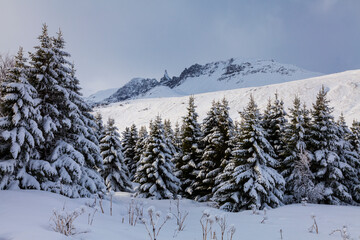 Winter landscape, North Iceland, Iceland, Europe