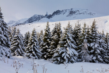 Winter landscape, North Iceland, Iceland, Europe