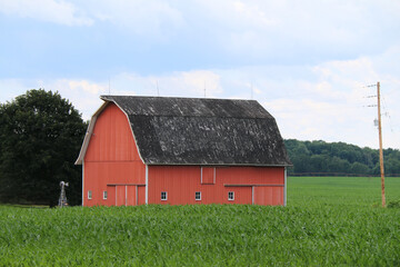 a tall black roof red barn with white trim and small in a growing crop field with lush forest trees beyond