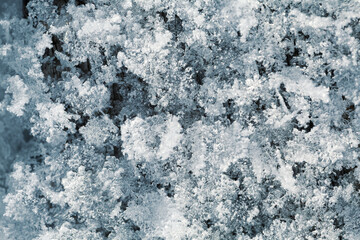 Fototapeta na wymiar Snow crystals close-up for background