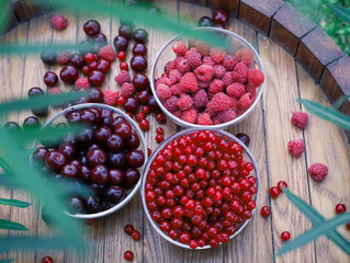 fresh berries in a bowl