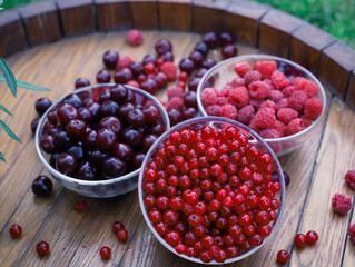 red currant berries