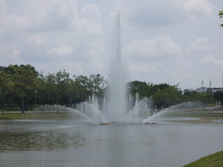 Water and trees in the park