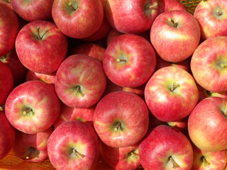 りんご（シナノドルチェ）