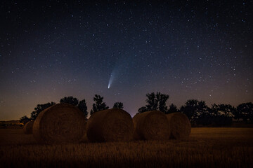 Fototapeta premium Comète Neowise dans le Tarn, photo de nuit - Occitanie - France