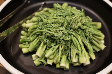 Edible shoots of a fatsia in water. Boiled vegetables.