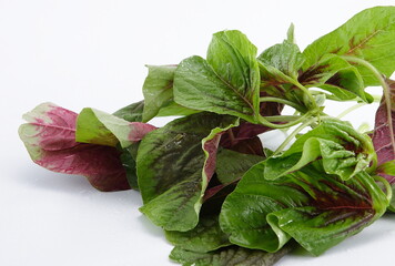 Amaranthus dubius, the red spinach, Chinese spinach. This plant is native to South America, Mexico,...