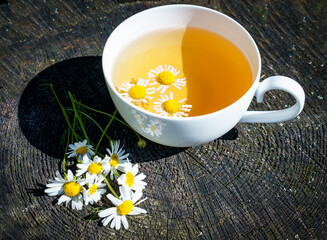Cup with chamomile tea in the sun on a wooden stump