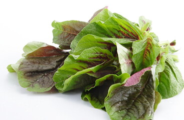 Amaranthus dubius, the red spinach, Chinese spinach. This plant is native to South America, Mexico,...
