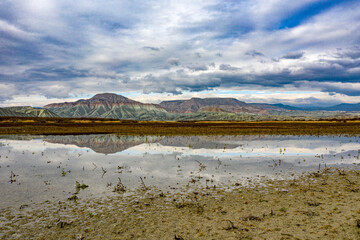 Nallihan Bird Sanctuary in Ankara district of Turkey. (Nallıhan Kuş Cenneti in Turkish)