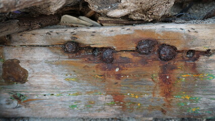 Old teak wood texture and iron corrosion