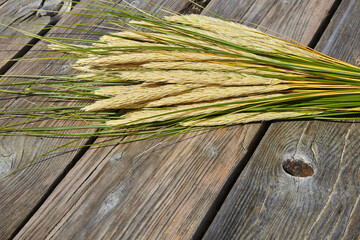 A bouquet of dry herbs on a weathered old wooden deck