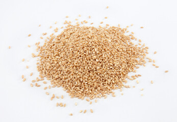 Fototapeta na wymiar Wheat is a grass widely cultivated for its seed, a cereal grain which is a worldwide staple food.