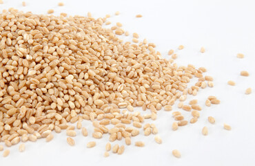 Wheat is a grass widely cultivated for its seed, a cereal grain which is a worldwide staple food.