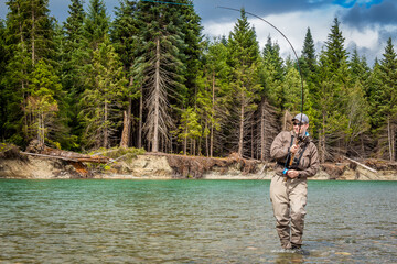 Close up of a sport fly fisherman hooked into a salmon on a river in British Columbia