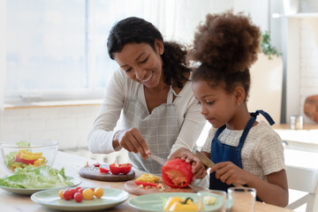 Fototapeta na wymiar Smiling caring young biracial mother teach small ethnic daughter prepare healthy organic food salad at home, happy african American mom cooking together with little girl child, vegetarian concept