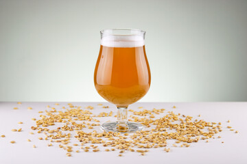 Glass of craft beer surrounded by grains of malted barley