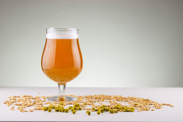 Glass of craft beer with barley and hops
