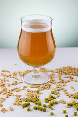 Glass of homebrewed blond ale with barley and hops