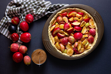 female hands make a yeast cake with apples and cinnamon in a shape