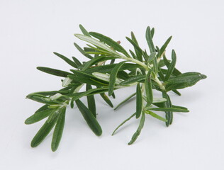 Rosemary is an herb. It is native to the Mediterranean region but is now grown worldwide. ... In foods, rosemary is used as a spice.