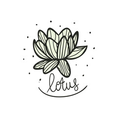 Fototapeta premium hand drawn lotus flower with lotus text vector illustration. creative floral designs for fabric, wrapping, wallpaper, textile, apparel.