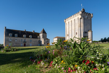 The Keep of Pons or Fortress of Pons, France. Medieval tower, one of the few remnants of the...