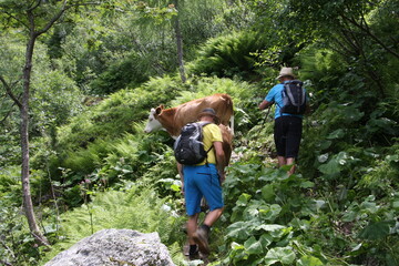 steiermark