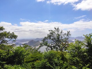 Fototapeta na wymiar Nature from a high spot on Rio De Janeiro