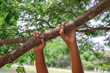 The hand is hanging a branch
