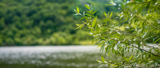 River and mountains close up photo
