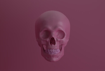 human pink skull on pink background, front view, 3d render