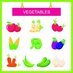 Vegetable icon set vector. with flat design, such us tomato, eggplant, bean, corn etc
